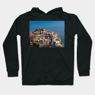 View on the cliff town of Manarola, one of the colorful Cinque Terre on the Italian west coast Hoodie